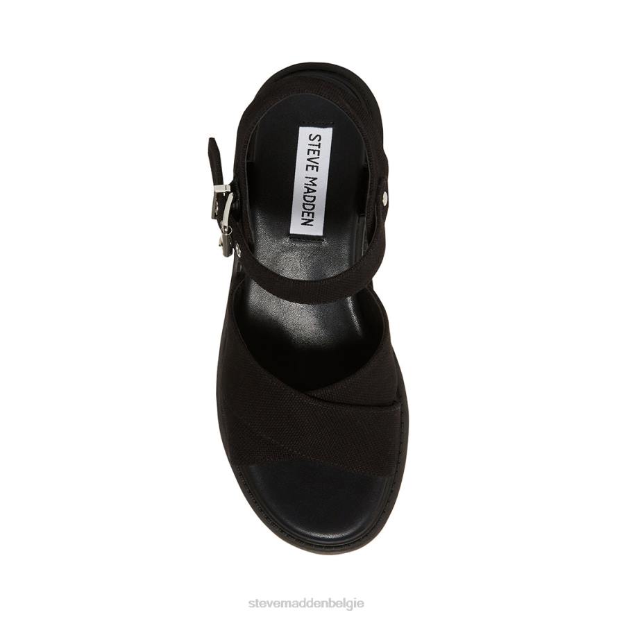 Steve Madden schoenen vrouwen Talvi zwart 2D2L47