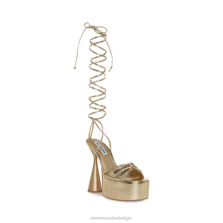 Steve Madden schoenen vrouwen Yasmin gouden slang 2D2L552