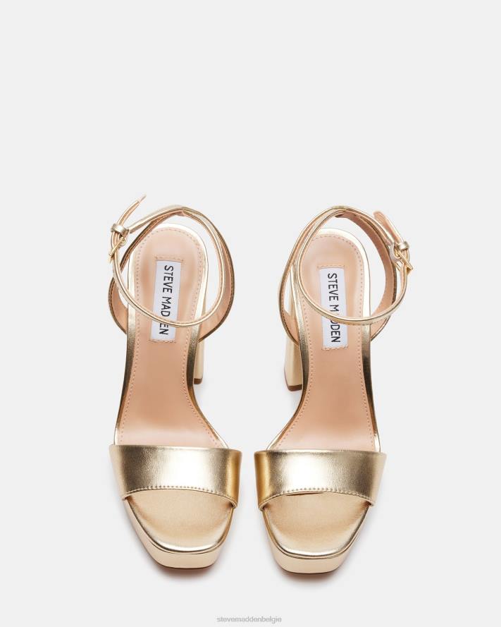 Steve Madden schoenen vrouwen minder Champagne 2D2L542