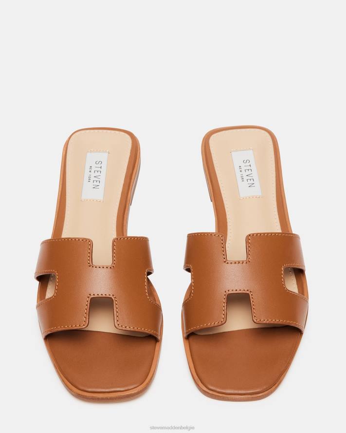 Steve Madden schoenen vrouwen Hadyn cognac leer 2D2L4